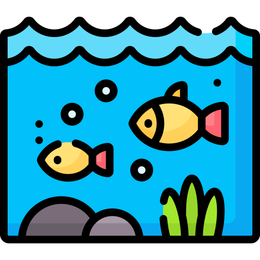Underwater Scenes